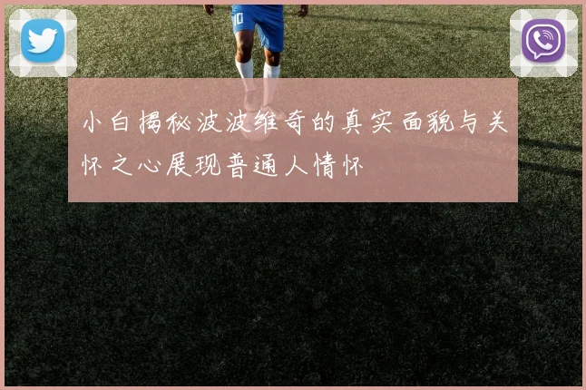 小白揭秘波波维奇的真实面貌与关怀之心展现普通人情怀
