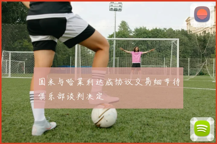 国米与哈莱利达成协议交易细节待俱乐部谈判决定