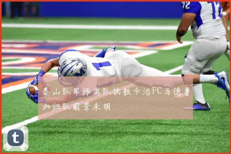 泰山队军师离队执教今治FC马德鲁加归队前景未明